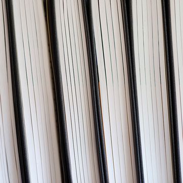 Foto: Johannes C. Elze