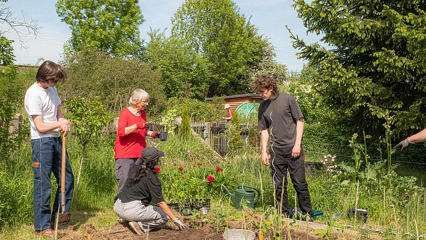 mehrere Personen aus der Entfernung fotografiert, die über etwas im Garten beraten