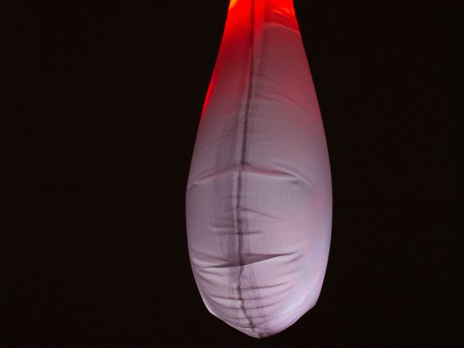 Ausstellungswerk aus der Ausstellung »Shared Habitats«