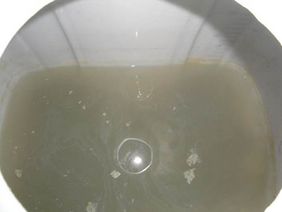 Grauwasser: Blick in den Auffangbehälter der Versuchsanlage