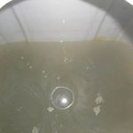 Grauwasser: Blick in den Auffangbehälter der Versuchsanlage
