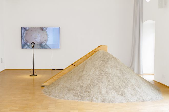 Ausstellungswerk aus der Ausstellung »Shared Habitats«
