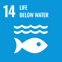 Grafik SDG Ziel 14 - "Life Below Water" (Leben unter Wasser), blau unterlegt mit Piktogramm eines Fisches unter Wasser.