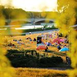 Menschen sitzen auf Picknick-Decken in der Abendsonne auf einer Wiese unter bunten Sonnenschirmen, Festivalgelände