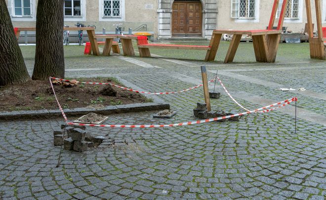 Ausstellungswerk aus der Ausstellung »Shared Habitats«