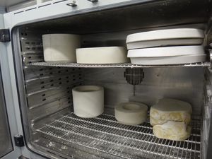Die Negativform samt Porzellaninhalt wird in den Trockenschrank gestellt. Die Gipsform zieht das Wasser aus der Porzellanmasse heraus, was das Service-Teil fest werden lässt.