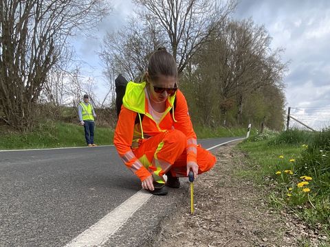 Sicherheitsaudit einer Landstraße zwischen Buschdorf und Boevange-sur-Attert 