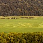 Barcode im Feld (Bernd Hopfengärtner)