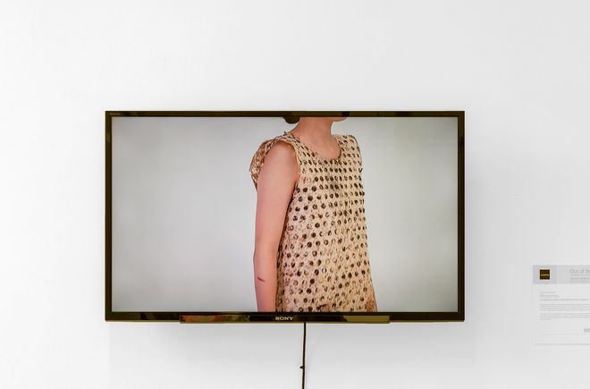 Ausstellungswerk aus der Ausstellung »Shared Habitats«; Arbeit von Freya Probst. Foto: Silke kleine Kalvelage