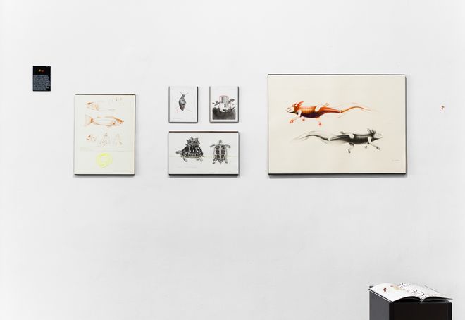 Ausstellungswerk aus der Ausstellung »Shared Habitats«; Arbeit von Homero Ruiz. Foto: Silke kleine Kalvelage