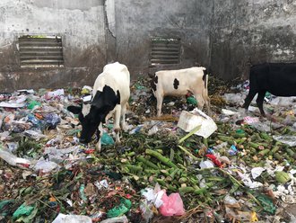 Kunststoffabfälle auf einem Abfallsammelplatz in der Innenstadt von Khulna (Foto: Dr. Thomas Haupt)