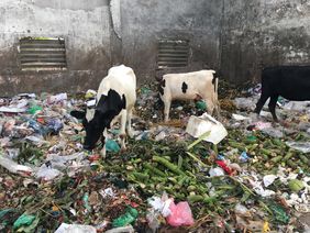 Kunststoffabfälle auf einem Abfallsammelplatz in der Innenstadt von Khulna (Foto: Dr. Thomas Haupt) Kunststoffabfälle auf einem Abfallsammelplatz in der Innenstadt von Khulna (Foto: Dr. Thomas Haupt)