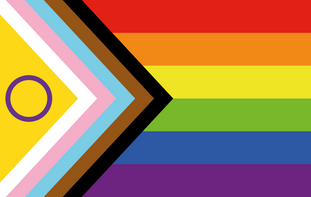 Description of the »Intersex-Inclusive Progress Pride Flag«: see text below.