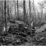 Eine Schwarz-Weiß-Aufnahme einer Waldlanschaft mit Felsenim Mittelgrund