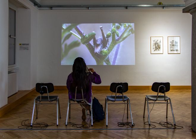Ausstellungswerk aus der Ausstellung »Shared Habitats«; Arbeit von Prof. Alexandra Toland. Foto: Silke kleine Kalvelage