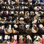 In diesem Jahr werden zum Bildungsprojekt »Wissen erobern« etwa 520 Teilnehmer erwartet. (Foto: Candy Welz)