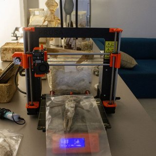 3-D-Drucker und Pilzmyzele