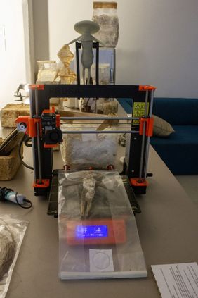 3-D-Drucker und Pilzmyzele