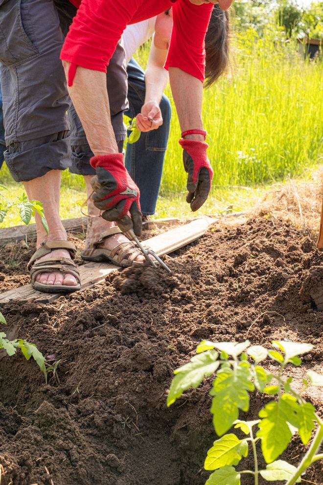 eine ältere Person, die sich in ein Beet beugt und eine Pflanzfurche zieht