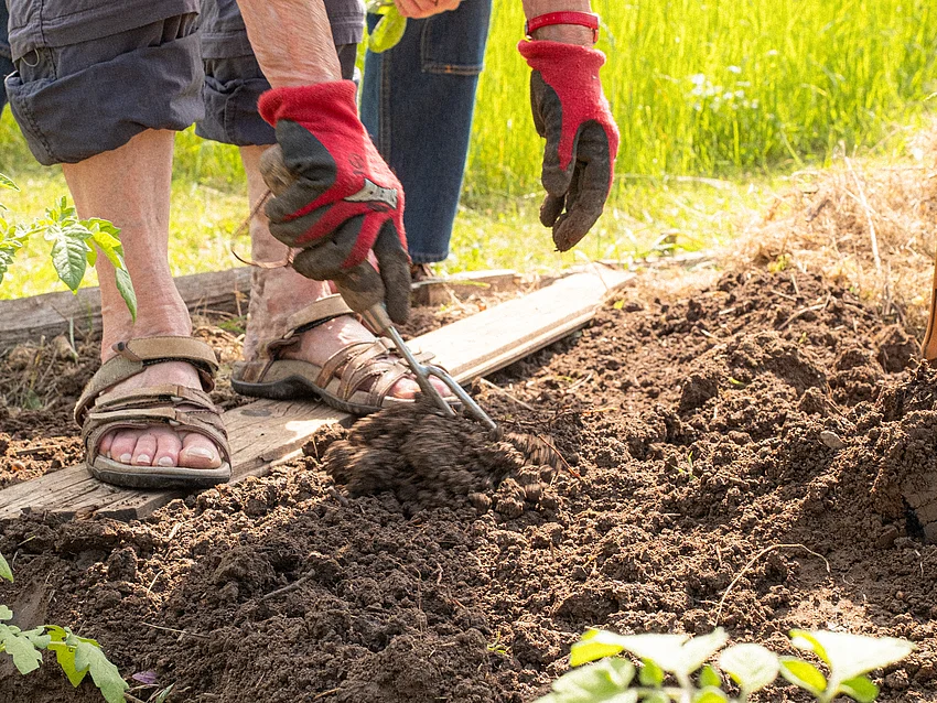 eine ältere Person, die sich in ein Beet beugt und eine Pflanzfurche zieht