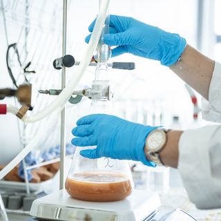 © IAB / Thomas Müller