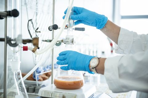 Starker Impuls für den Bauforschungsstandort Weimar © IAB / Thomas Müller