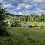 Das Dorf Vesser im Thüringer Wald. Foto: Melanie Kleinod/ Naturstiftung David