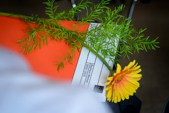 Blume auf einer Urkunde