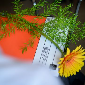 Blume auf einer Urkunde