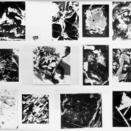 Beispiele von SW-Fotogrammen und Chemiogrammen