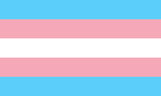 The »Trans Pride Flag« has five horizontal stripes in the following colors (from top to bottom): light-blue, light-pink, white, light-pink, light-blue.