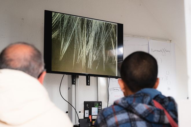 zwei Personen von hinten fotografiert, wie sie die Präsentation am Monitor verfolgen