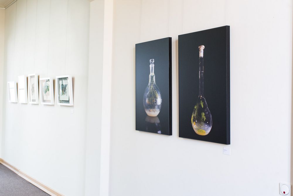 Impressionen der Ausstellung (Bauhaus-Universität Weimar, Foto: Nina Röder)