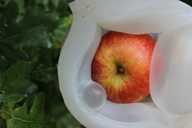 Und der Apfel übersteht den Akt des Pflückens unbeschadet. Die Gummilippen sollen bis zur summaery2015 noch perfektioniert werden. (Fotos: Franziska Waldschmitt, Freya Probst & Henry Sowinski)