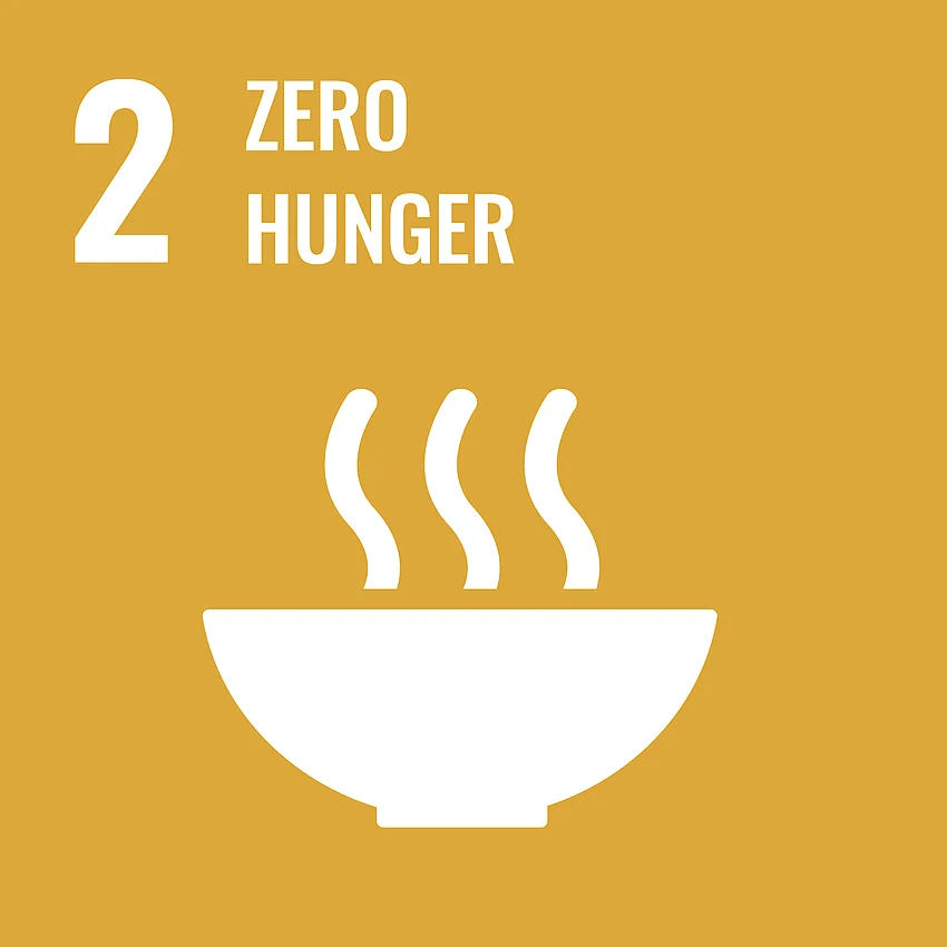 Grafik SDG Ziel 2 - Zero Hunger (Kein Hunger), gelb unterlegt mit Piktogramm einer Schale mit heißem Essen.