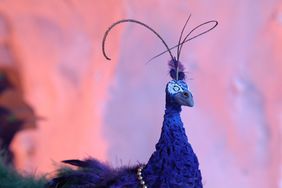 Videostill aus »Homage to Slumberland« von Margarita Göbel.