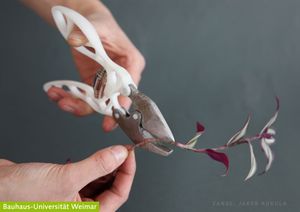 Alu-Zange: Jakob Kukula