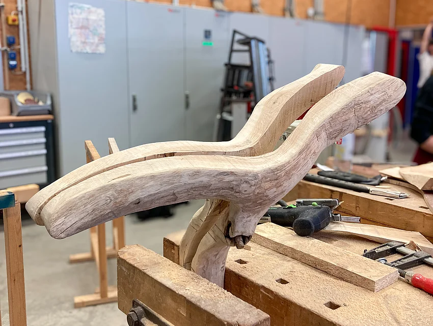 a branch fork cut open in the middle without bark