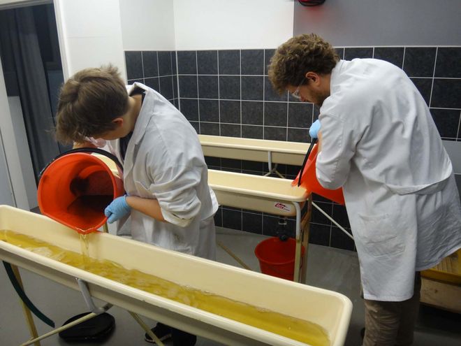 After the photo is exposed, Anna and Clemens swish it back and forth in different liquids. The developer makes the start. It ensures that the exposed areas react and the image becomes visible. For Anna, this is the most beautiful moment during the entire process. Later, the development is finished in the stop bath and the image is sealed by means of the fixer.