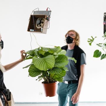 A man and a woman with stand in front of plants hanging from the ceiling, which are connected with wires and technology.