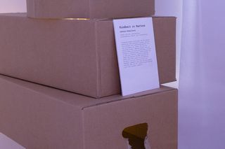Audioinstallation "Kindheit in Kartons" - Leonie Schellhorn - Foto: Catalina Giraldo