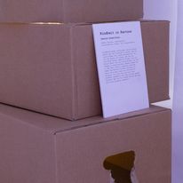 Audioinstallation "Kindheit in Kartons" - Leonie Schellhorn - Foto: Catalina Giraldo
