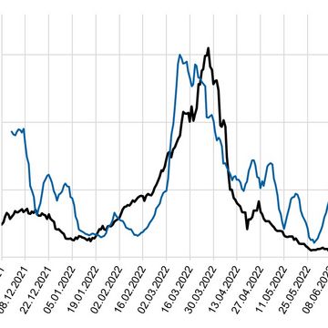 Die schwarze Kurve zeigt die 7-Tage-Inzidenz (RKI), die blaue Kurve die detektierte Konzentration von SARS-CoV-2-Genkopien im Abwasser (Durchschnitt der letzten 7 Tage). Grafik: Analytik Jena GmbH