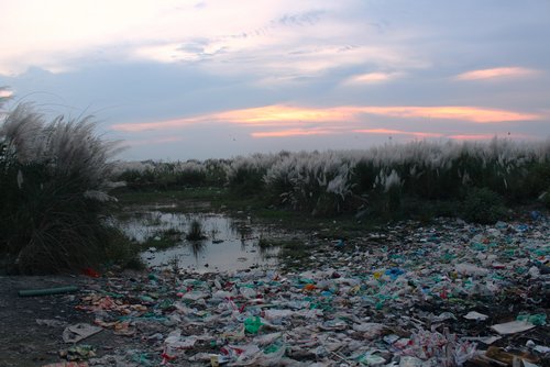 Kunststoffabfälle entlang eines Wasserlaufes (Foto: Senta Berner)
