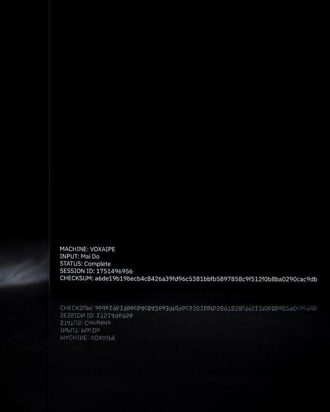 Schwarze Oberfläche mit weißer Textausgabe: Angaben zu »Machine: VOXAIPE«, Input, Status, Session-ID und Checksumme.
