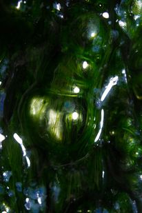 What many people do not know: About half of the oxygen in the atmosphere is produced by algae. Photo: Lena Vogel