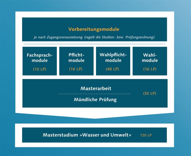schematischer Aufbau des Masterstudiums, beginnend mit Vorbereitungsmodulen, dem Fachsprachmodul, dem Pflichtmodul, den Wahlmodulen sowie der schriftlichen Masterarbeit und ihrer Verteidigung (insgesamt 120 Leistungspunkte)