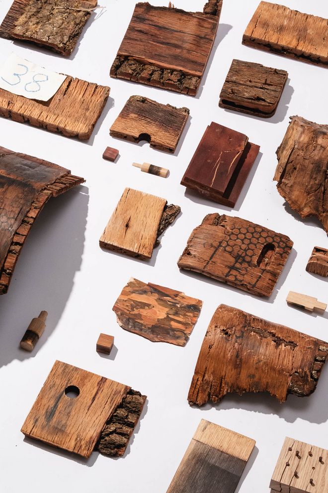 verschiedene Stücken verpresster Rinde