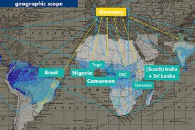 Collage von Dr. Monika Motylinska