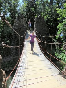Die beiden Forscherteams begehen "neue Wege" (Kettenbrücke im Wörlitzer Park).